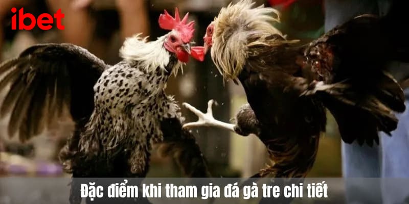 đá gà tre