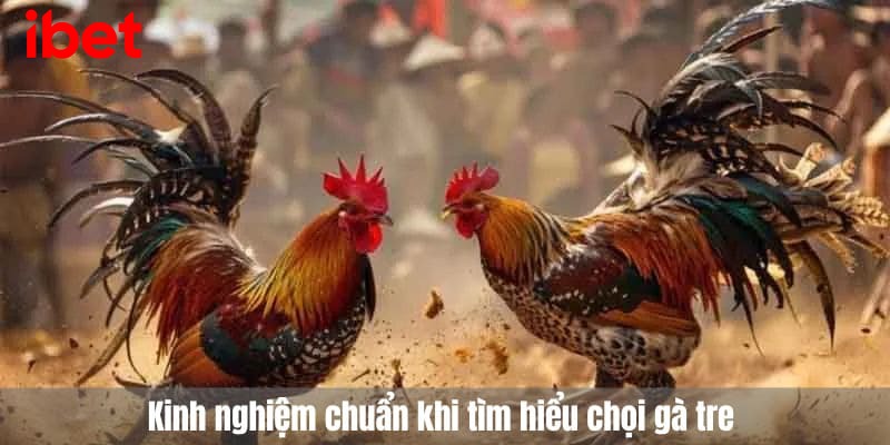 đá gà tre