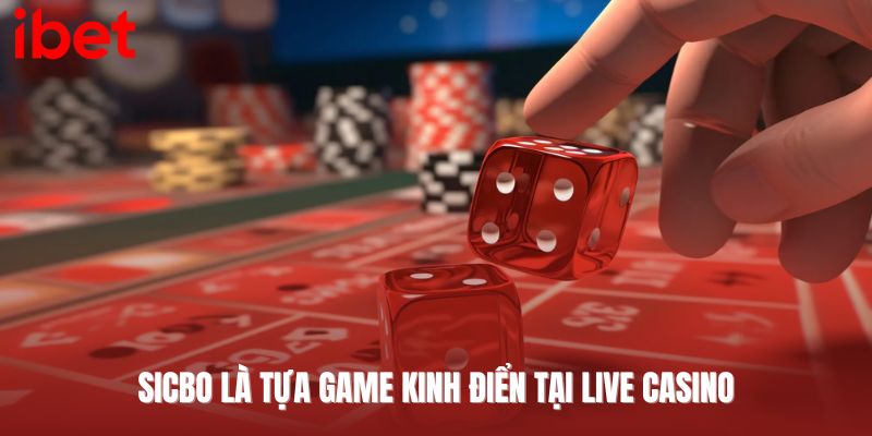 live casino