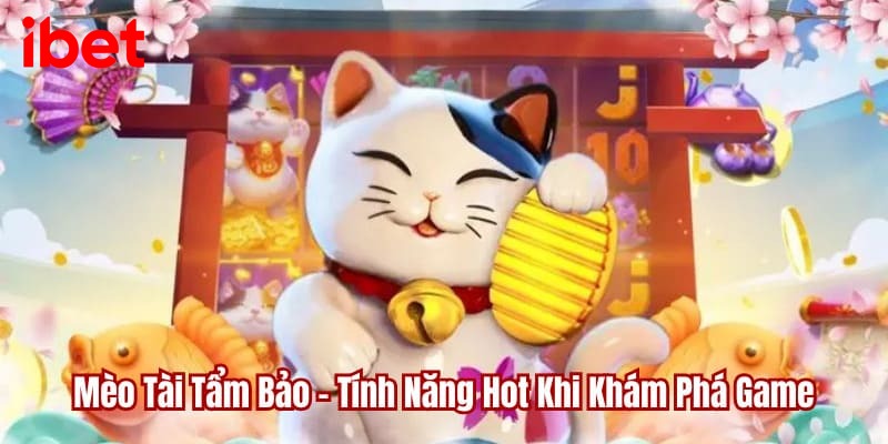 Mèo tài tẩm bảo