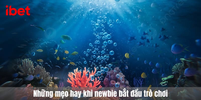kho báu may mắn